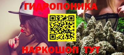 индика Канаш
