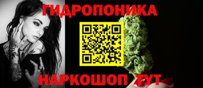 трава Кандалакша